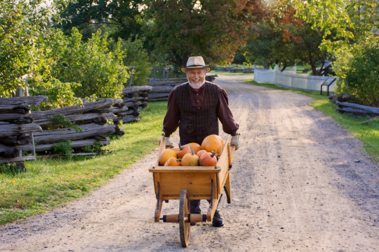 Man pushing a wheelbarrow of pumpkins at Kings Landing