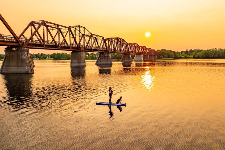 Woan and dog paddleboarding under a bridge